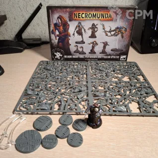 Описание картинки Necromunda: Delaque Nacht-Ghul and Psy-Gheists от Zehir по цене 3 500руб | Свободный Рынок Миниатюр - СРМ