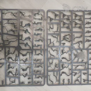 Описание картинки Wyches от Harvest по цене 3 000руб | Свободный Рынок Миниатюр - СРМ