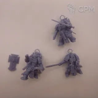 Описание картинки Bladeguard Veterans (цельные) от White Rhino по цене 599руб | Свободный Рынок Миниатюр - СРМ