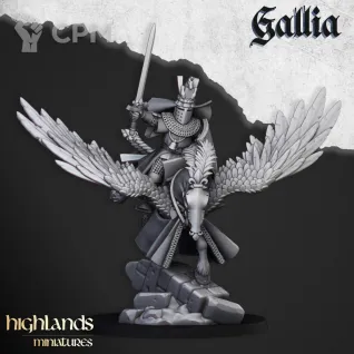 Описание картинки Gallia Knigths on Pegasus CG от 3DPrintClub по цене 850руб | Свободный Рынок Миниатюр - СРМ