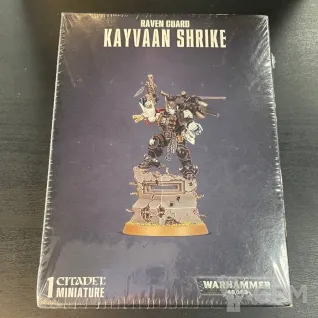 Описание картинки Raven Guard Kayvaan Shrike от Karlos по цене 3 800руб | Свободный Рынок Миниатюр - СРМ