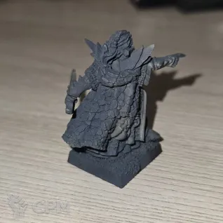 Описание картинки Dark Elf Dreadlord With Hand Weapon от Max-L45 по цене 1 500руб | Свободный Рынок Миниатюр - СРМ
