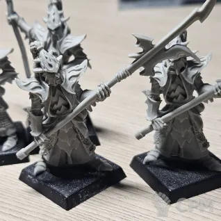 Описание картинки Black Guard of Naggarond от Max-L45 по цене 4 000руб | Свободный Рынок Миниатюр - СРМ