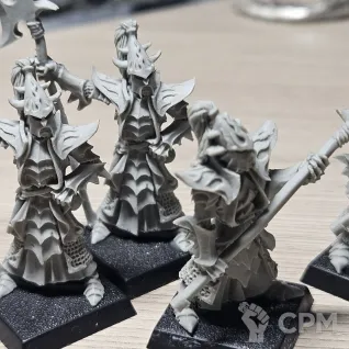 Описание картинки Black Guard of Naggarond от Max-L45 по цене 4 000руб | Свободный Рынок Миниатюр - СРМ