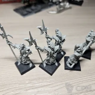 Описание картинки Black Guard of Naggarond от Max-L45 по цене 4 000руб | Свободный Рынок Миниатюр - СРМ