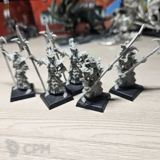 Описание картинки Black Guard of Naggarond от Max-L45 по цене 4 000руб | Свободный Рынок Миниатюр - СРМ