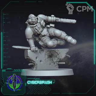 Описание картинки Raider Lieutenant от WebWay 3D по цене 450руб | Свободный Рынок Миниатюр - СРМ