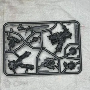 Описание картинки Primaris Company Champion от Salamanders Anvil по цене 6 350руб | Свободный Рынок Миниатюр - СРМ