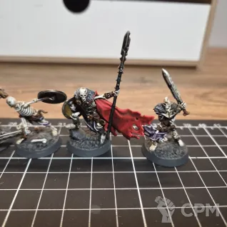 Описание картинки Sepulchral Guard от Dazzii по цене 3 500руб | Свободный Рынок Миниатюр - СРМ