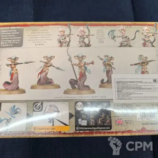Описание картинки Daughters Of Khaine: Blood Sisters от Alzeron по цене 4 500руб | Свободный Рынок Миниатюр - СРМ