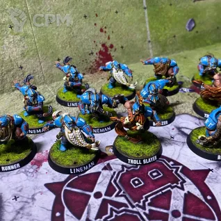 Описание картинки Blood Bowl Dwarf team от  по цене 16 000руб | Свободный Рынок Миниатюр - СРМ
