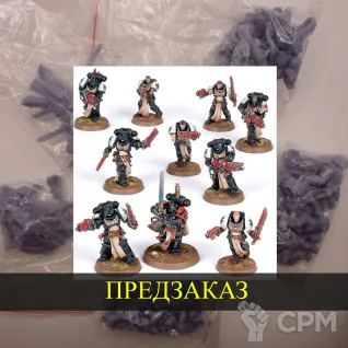 Описание картинки Primaris Crusader Squad от White Rhino по цене 1 000руб