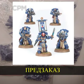 Описание картинки Primaris Sternguard Veteran Squad от White Rhino по цене 799руб | Свободный Рынок Миниатюр - СРМ