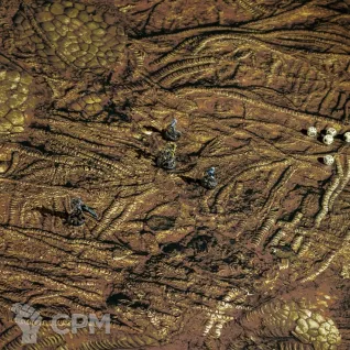 Описание картинки Игровое поле Hive от Строго по-Имперски по цене 1 468руб | Свободный Рынок Миниатюр - СРМ