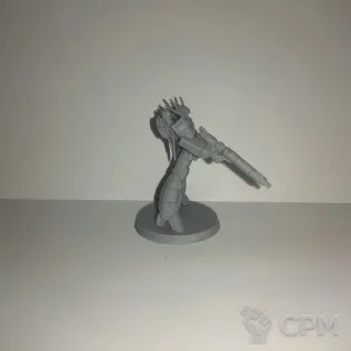 Описание картинки Валькирия МТ-17 (Скалл-Лидер) от Dwarf Pirate Foundry по цене 500руб | Свободный Рынок Миниатюр - СРМ