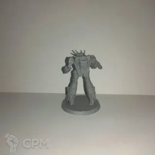 Описание картинки Валькирия МТ-17 (Скалл-Лидер) от Dwarf Pirate Foundry по цене 500руб | Свободный Рынок Миниатюр - СРМ