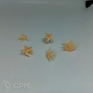 Описание картинки Agave от Орки с наГорки по цене 100руб | Свободный Рынок Миниатюр - СРМ