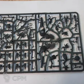 Описание картинки Raptadon Hunters / Raptadon Chargers от Reviror по цене 1 850руб | Свободный Рынок Миниатюр - СРМ