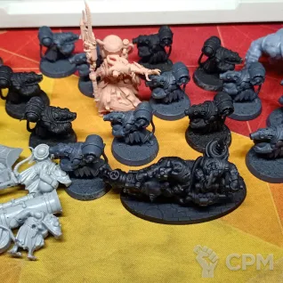 Описание картинки Acolyte Globadiers + всякое от UniversalCultist по цене 1 900руб | Свободный Рынок Миниатюр - СРМ