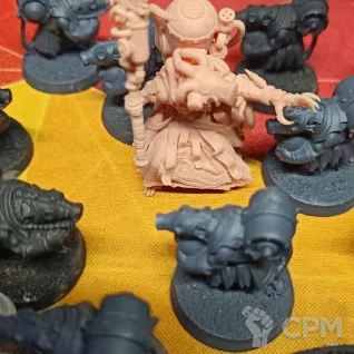 Описание картинки Acolyte Globadiers + всякое от UniversalCultist по цене 1 900руб | Свободный Рынок Миниатюр - СРМ