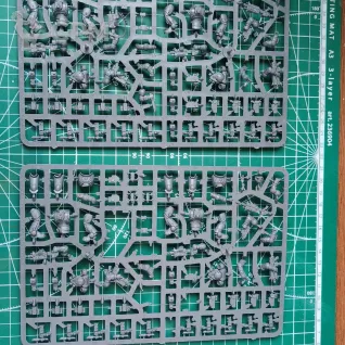 Описание картинки 15 primaris intercessors + blood angels upgrades от Koles по цене 5 000руб | Свободный Рынок Миниатюр - СРМ