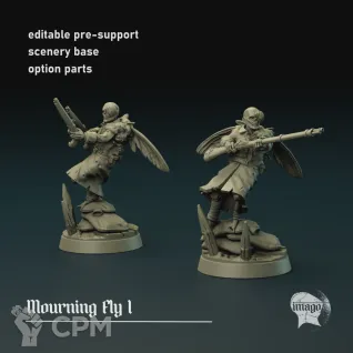 Описание картинки Modular Mourning Fly от Manufactorum76 по цене 225руб | Свободный Рынок Миниатюр - СРМ