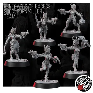 Описание картинки RENEGADES OF EXCESS SUCCUBORN KILLER TEAM от Manufactorum76 по цене 800руб | Свободный Рынок Миниатюр - СРМ