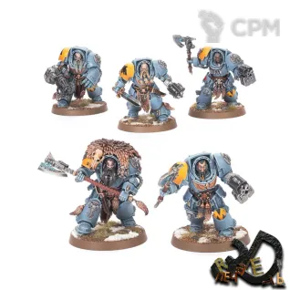 Описание картинки Wolf Guard Terminators от R.E.print по цене 890руб | Свободный Рынок Миниатюр - СРМ