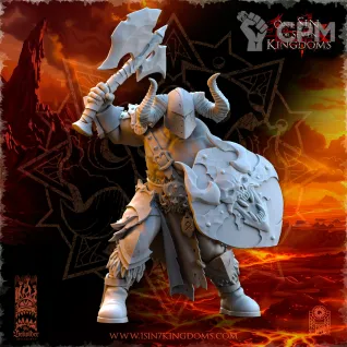 Описание картинки Barbarian Despoilers with Weapon and Shield от Naggaroth Night по цене 250руб | Свободный Рынок Миниатюр - СРМ