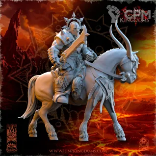 Описание картинки Barbarian Riders Command Group от Naggaroth Night по цене 500руб | Свободный Рынок Миниатюр - СРМ