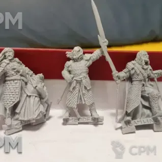 Описание картинки Theoden, Gamling,Captain от Xero по цене 250руб | Свободный Рынок Миниатюр - СРМ