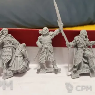 Описание картинки Theoden, Gamling,Captain от Xero по цене 250руб | Свободный Рынок Миниатюр - СРМ