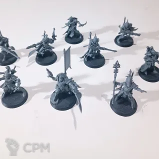 Описание картинки Corsair Voidscarred от OMG_SL по цене 3 990руб | Свободный Рынок Миниатюр - СРМ