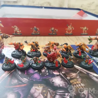 Описание картинки ? Dungeon Bowl — редкое издание во вселенной Blood Bowl ? от Галл по цене 12 000руб | Свободный Рынок Миниатюр - СРМ