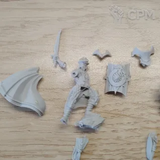 Описание картинки Rutabi and Brórgîr Heroes of Rhûn. от Серж по цене 650руб | Свободный Рынок Миниатюр - СРМ