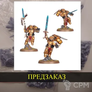 Описание картинки Sanguinary Guard от White Rhino по цене 999руб | Свободный Рынок Миниатюр - СРМ