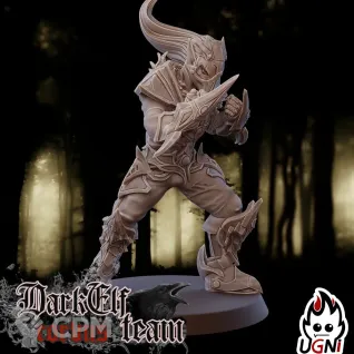 Описание картинки Dark Elf Team - Corvus от 3Д-Печка по цене 2 500руб | Свободный Рынок Миниатюр - СРМ
