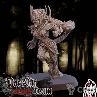 Описание картинки Dark Elf Team - Corvus от 3Д-Печка по цене 2 500руб | Свободный Рынок Миниатюр - СРМ