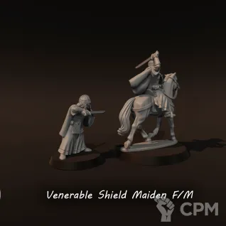 Описание картинки Venerable shieldmaiden от Recruiter по цене 450руб | Свободный Рынок Миниатюр - СРМ