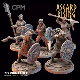 Описание картинки VIKINGS - Shieldmaidens-Asgard Rising от axl_k по цене 700руб | Свободный Рынок Миниатюр - СРМ