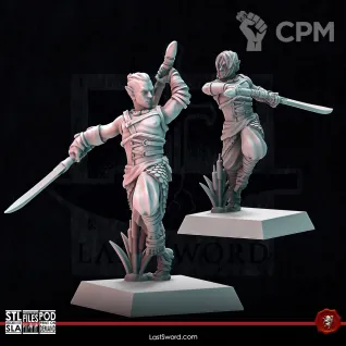 Описание картинки BladeDancers от 3Д-Печка по цене 1 200руб | Свободный Рынок Миниатюр - СРМ