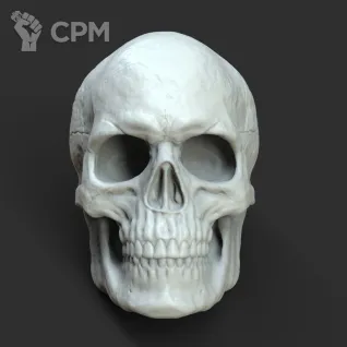 Описание картинки Skull от Saudad по цене 300руб | Свободный Рынок Миниатюр - СРМ