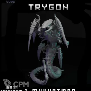 Описание картинки Trygon от DREAMCUBE по цене 1 000руб | Свободный Рынок Миниатюр - СРМ