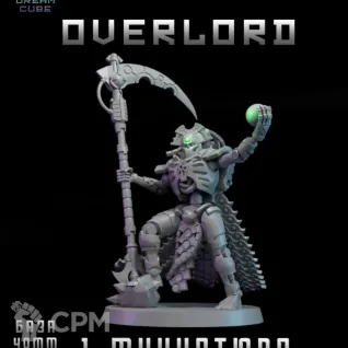 Описание картинки Overlord от DREAMCUBE по цене 380руб | Свободный Рынок Миниатюр - СРМ