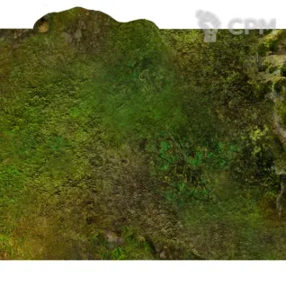 Описание картинки Футпринты - подложки для террейна (11ed GW layout) Death World Jungle от WebWay Аксессуары по цене 1 950руб | Свободный Рынок Миниатюр - СРМ