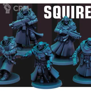 Описание картинки Squires от Manufactorum76 по цене 800руб | Свободный Рынок Миниатюр - СРМ