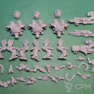 Описание картинки MECHANICUM THALLAX COHORT WITH MULTI-MELTA от Plants vs Zombies по цене 950руб | Свободный Рынок Миниатюр - СРМ