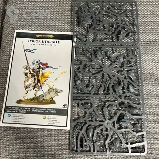 Описание картинки Lumineth Realm Lords - Vanari Lord Regent \ Lyrior Uthralle от Sir Mordred по цене 6 900руб | Свободный Рынок Миниатюр - СРМ