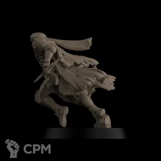 Описание картинки Assassin от WebWay 3D по цене 200руб | Свободный Рынок Миниатюр - СРМ