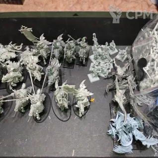 Описание картинки Армия Slaves to Darkness от Revan по цене 7 000руб | Свободный Рынок Миниатюр - СРМ